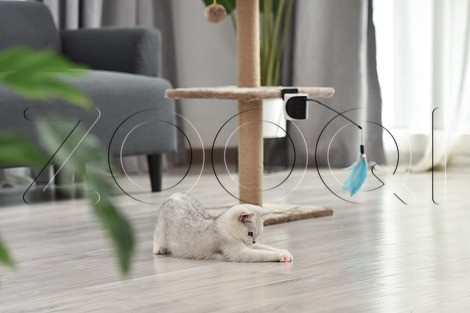 Игрушка-дразнилка DOGNESS LASER CAT TEASER для кошек