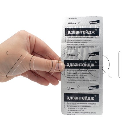 Адвантейдж Капли для котят и кошек