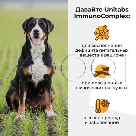 Unitabs ImmunoComplex для крупных собак, 100 табл