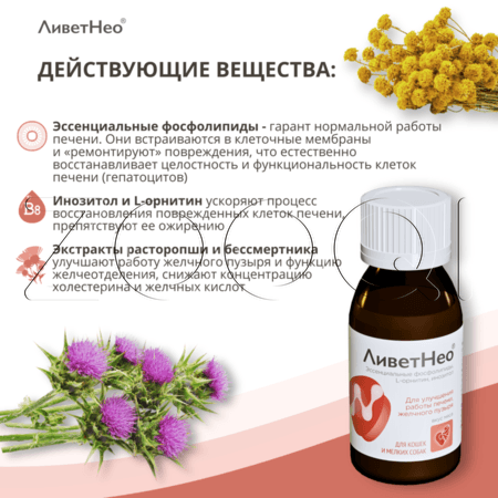 ЛиветНео для кошек и мелких собак, 50 мл