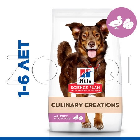 Hill's Science Plan Culinary Creations Medium Adult для взрослых собак средних пород (утка, картофель)