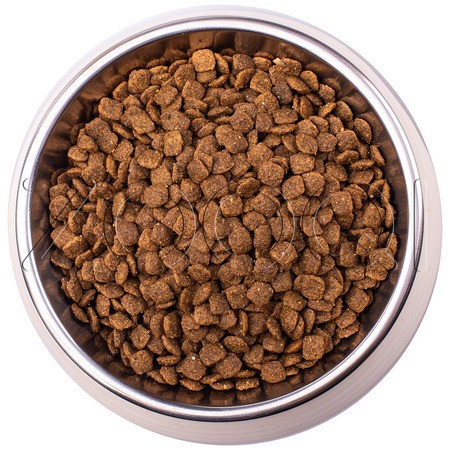 Корм Monge VetSolution Cat Hepatic для кошек (горох, курица)