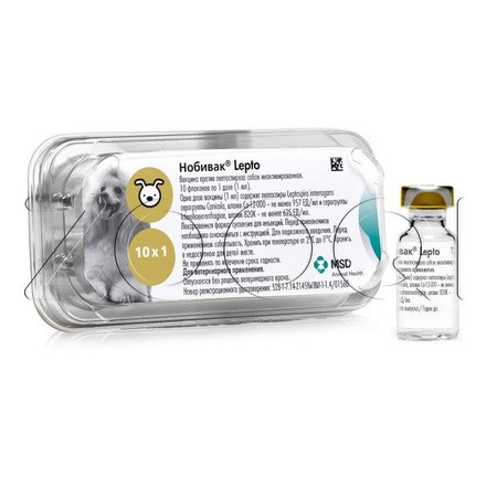 Нобивак Lepto Вакцина для собак