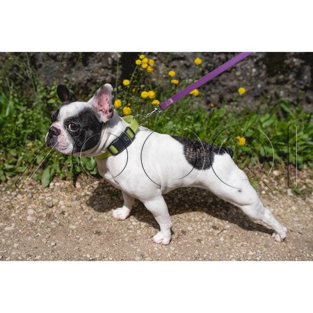 Ferplast Ошейник Evolution C25/56 с ПВХ покрытием и магнитной застежкой