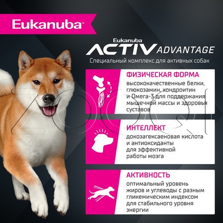 Корм Eukanuba для собак (ягненок)