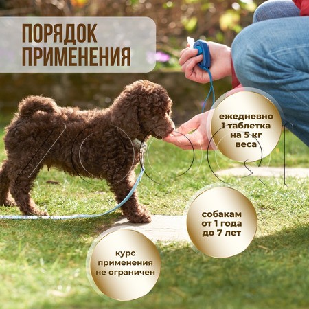 Unitabs ImmunoComplex с Q10 для мелких собак, 100 табл