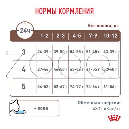 Корм Royal Canin Gastrointestinal Kitten для котят (птица)