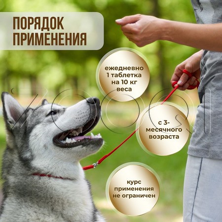 Unitabs ArthroАctive с Q10 для собак