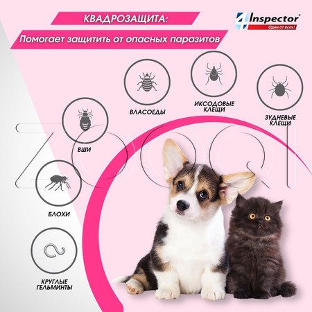 Инспектор Мини Капли для кошек и собак 0,5 - 2 кг, 1 пипетка