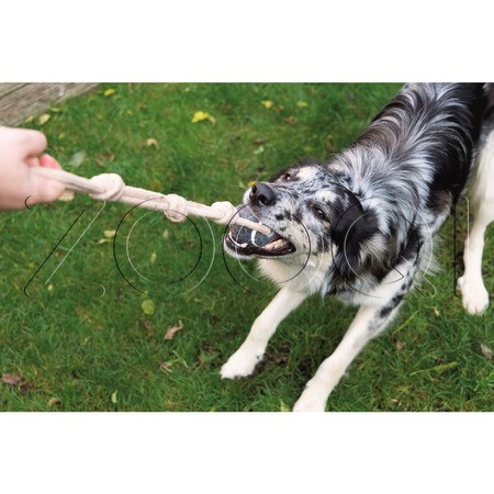 Beeztees Игрушка для собак «Теннисный мяч с канатом»