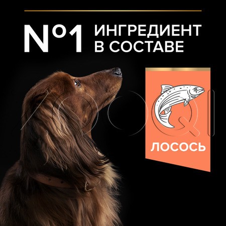Корм Purina Pro Plan Sensitive Skin Small & Mini Salmon Adult для собак (лосось)
