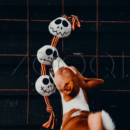 Beeztees Игрушка «Шары-привидения на верёвке» для собак , 56 см