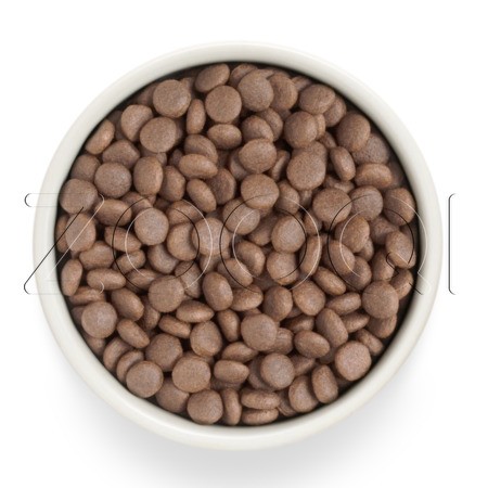 Корм Grandorf Dog Fresh Adult Medium/Maxi для собак (индейка, батат)