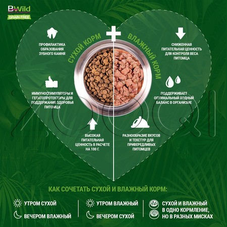 Паштет Monge Cat BWild Grain Free Kitten для котят и крупных кошек (буйвол, овощи), 100 г