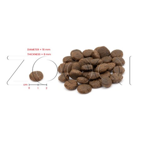 Корм Alleva Holistic Adult Medium & Maxi для собак (ягненок, оленина)