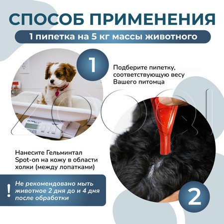 Гельминтал С Spot-on Капли для щенков и собак, 2 пипетки