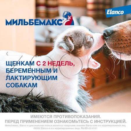 Мильбемакс Антигельминтик для собак, 2 табл