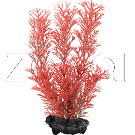 Tetra Перистолистник DecoArt Plant M RedFoxtail 23см