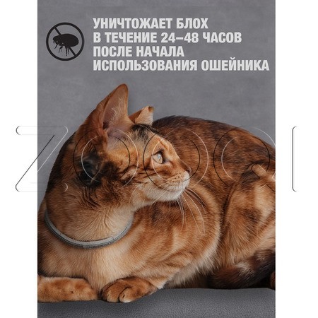 РольфКлуб 3D Ошейник для кошек, 40 см