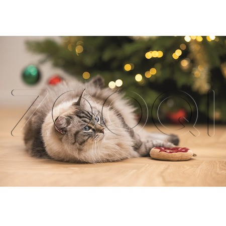 Beeztees Игрушка «Рождественский пончик» с кошачьей мятой для кошек, 8 см