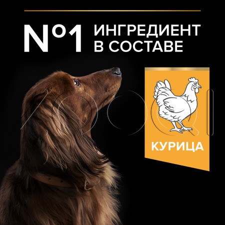 Корм Purina Pro Plan Everyday Nutrition Small & Mini Adult для собак (курица)