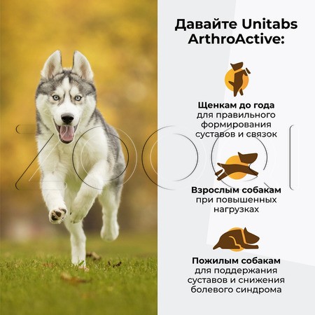 Unitabs ArthroАctive с Q10 для собак