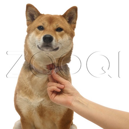 Больфо Ошейник для средних и крупных собак, 70 см