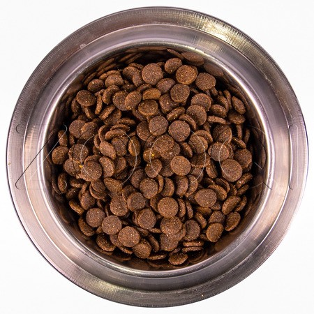 Корм Monge Dog Speciality Line Monoprotein Puppy & Junior для щенков (лосось, рис)