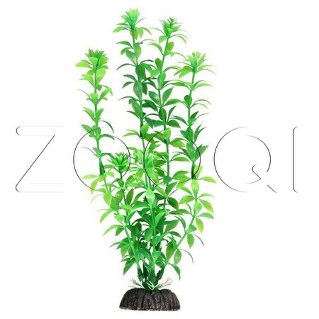 Laguna Растение 1050LD "Гемиантус" зеленый, 400мм, (пакет)