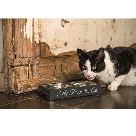 Beeztees Миска меламиновая «Мой любимый кот» двойная для кошек, 260 мл