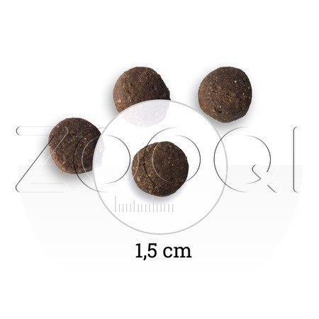 Корм Bon Appetit Adult Dog Chicken & Rice для собак (курица, рис)