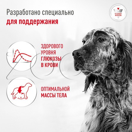 Корм Royal Canin Glycobalance для собак (мясо)