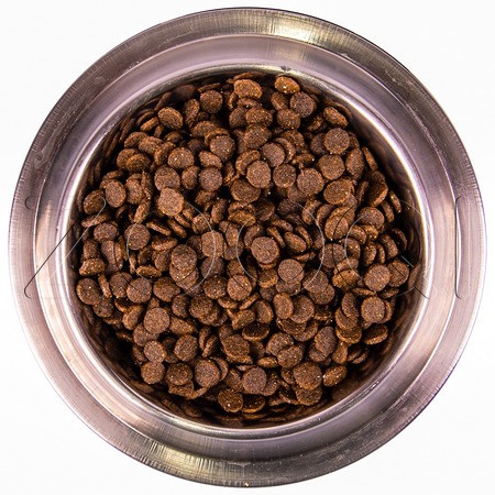 Корм Monge Dog Daily Line Puppy & Junior Mini для щенков (курица, рис)