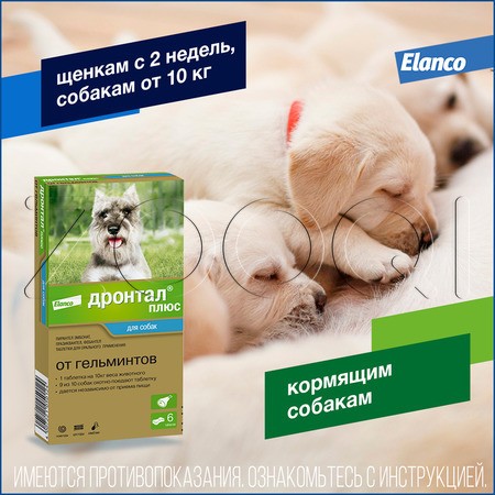 Дронтал Плюс Антигельминтик для собак, 6 таб