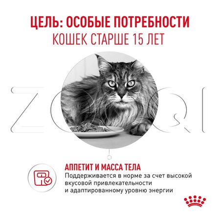 Пауч Royal Canin Ageing 15+ для кошек (кусочки в соусе), 85 г