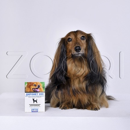 Диронет 200 Таблетки для собак мелких пород и щенков, 10 табл