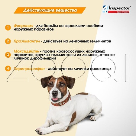 Инспектор Квадро С Капли для собак, 1 пипетка