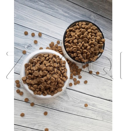 Корм ProBalance Gourmet Diet для кошек (говядина, кролик)