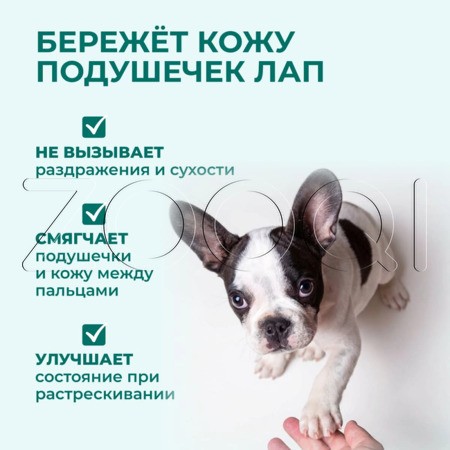 VEDA Жидкое мыло «Башмачок» для собак и кошек
