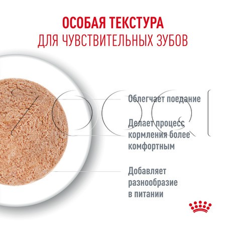 Мусс Royal Canin Ageing 15+ AirLift для кошек (мясо), 85 г
