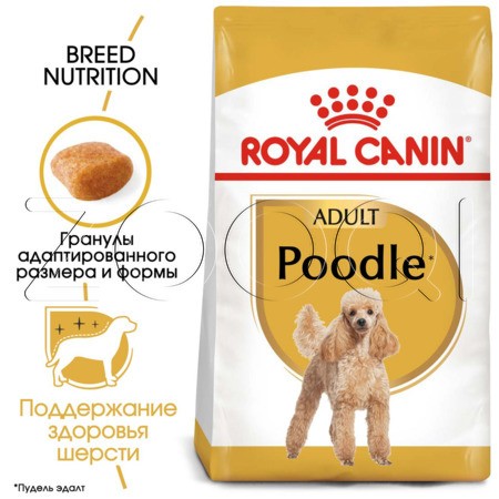 Royal Canin Poodle Adult, 0.5 кг