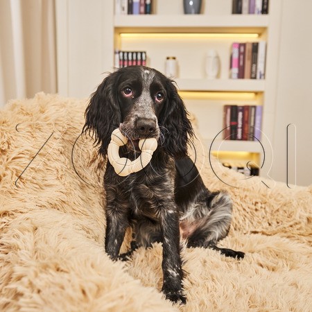 ПРОСТО КОСМОС Игрушка-кольцо «Орбита» для собак, 8 см