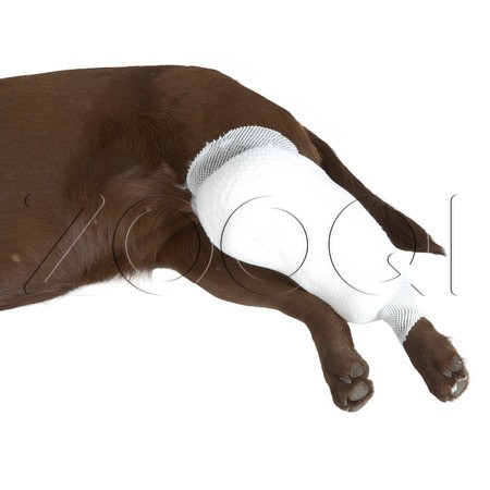 BUSTER Бинт эластичный трубчатый, белый