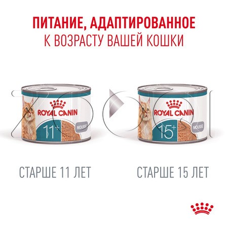 Мусс Royal Canin Ageing 11+ AirLift для кошек (мясо), 85 г