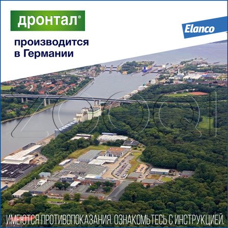 Дронтал Антигельминтик для кошек, 2 табл