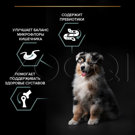 Purina Pro Plan Sensitive Digestion Medium Puppy для щенков средних пород (ягненок)
