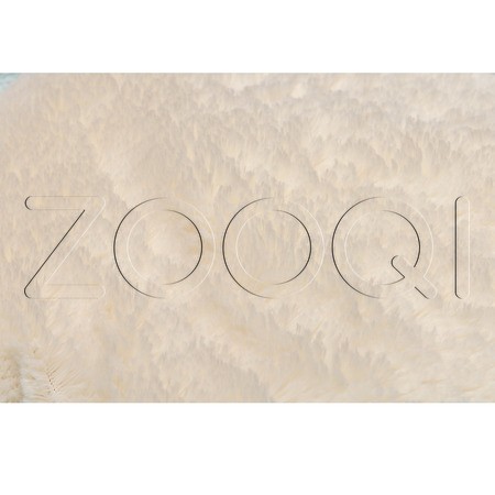 Beeztees Подушка плюшевая «Maui» для котят, 50 см