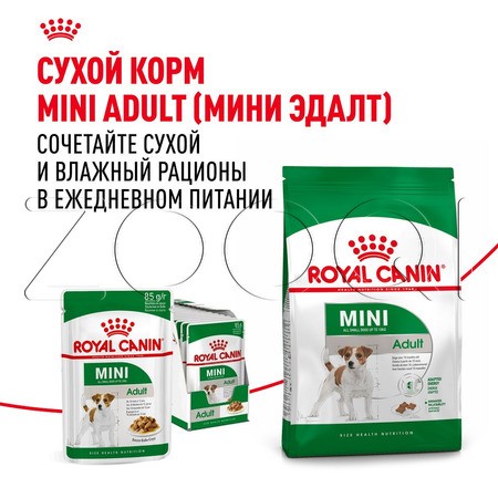 Royal Canin Mini Adult (мелкие кусочки в соусе), 85 г