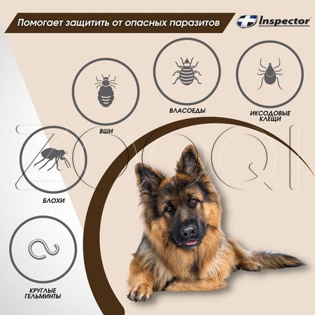 Инспектор Ошейник для крупных собак, 75 см
