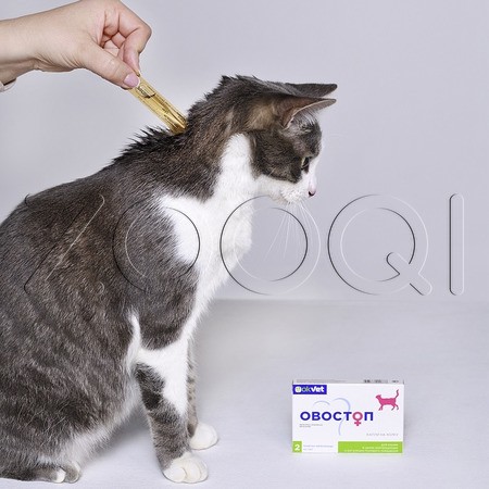 Овостоп для кошек (2 пипетки)